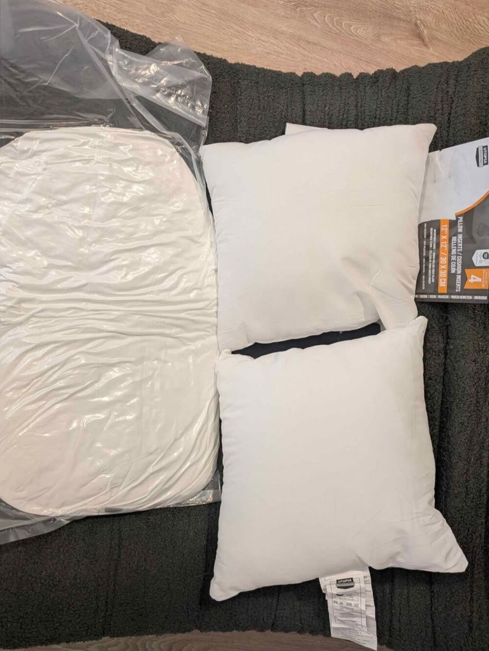 4 Pillow/Cushion Inserts